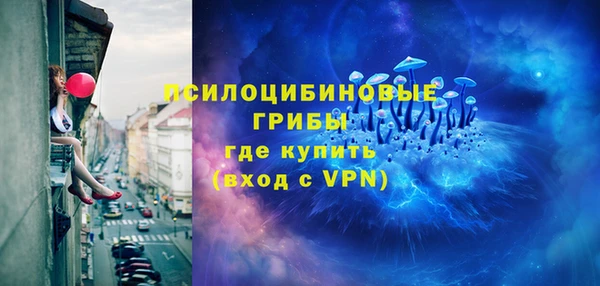 ешки Липки