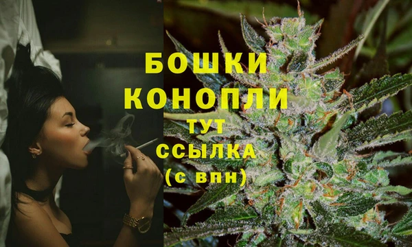 ешки Липки