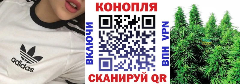 Купить закладки  Арзамас  Конопля план 